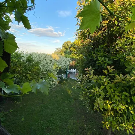 Apartament Harlaaki *