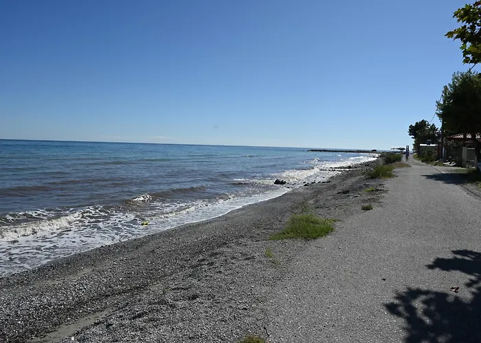 Harlaaki 公寓 普拉卡利特索罗