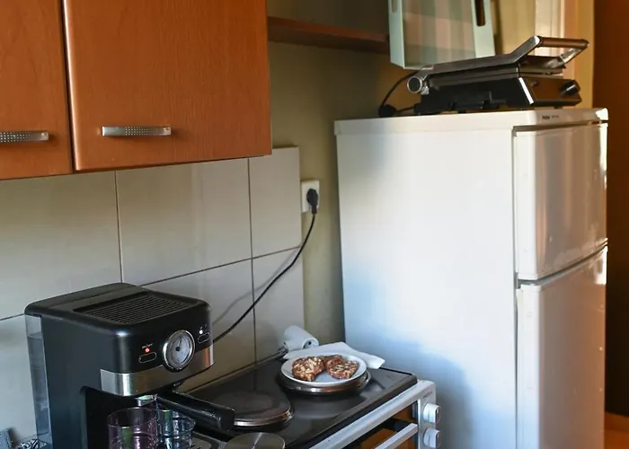 公寓 Harlaaki 普拉卡利特索罗